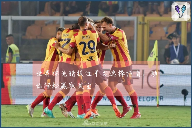 世界杯竞猜投注平台选择指南，助你轻松赢取奖金