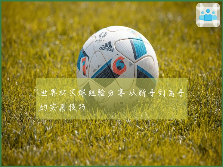 世界杯买球经验分享 从新手到高手的实用技巧