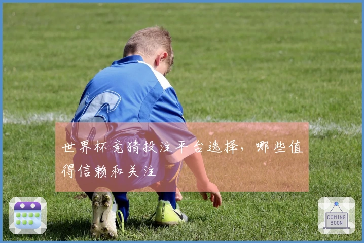 世界杯竞猜投注平台选择，哪些值得信赖和关注
