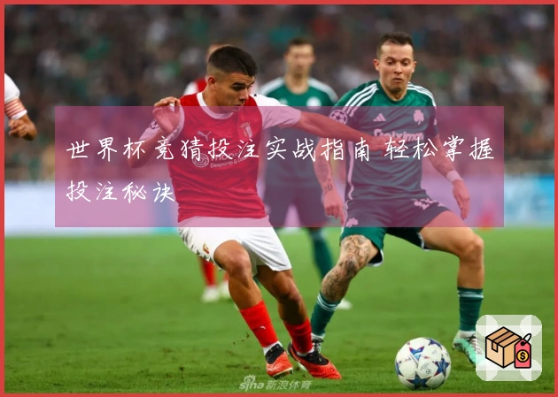 世界杯竞猜投注实战指南 轻松掌握投注秘诀