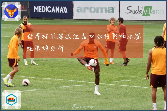 世界杯买球投注盘口如何影响比赛结果的分析