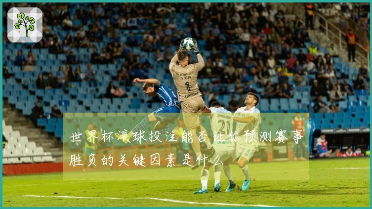 世界杯滚球投注能否让你预测赛事胜负的关键因素是什么
