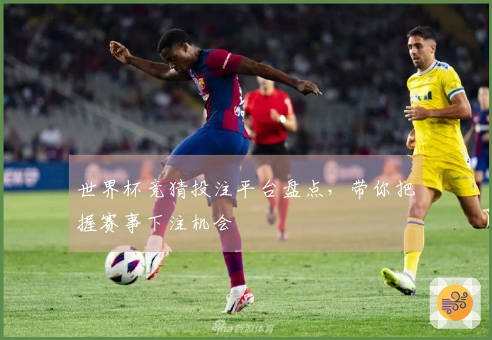 世界杯竞猜投注平台盘点，带你把握赛事下注机会