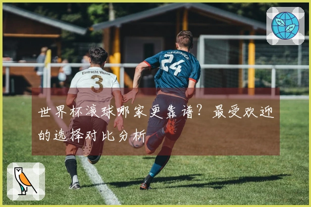 世界杯滚球哪家更靠谱？最受欢迎的选择对比分析