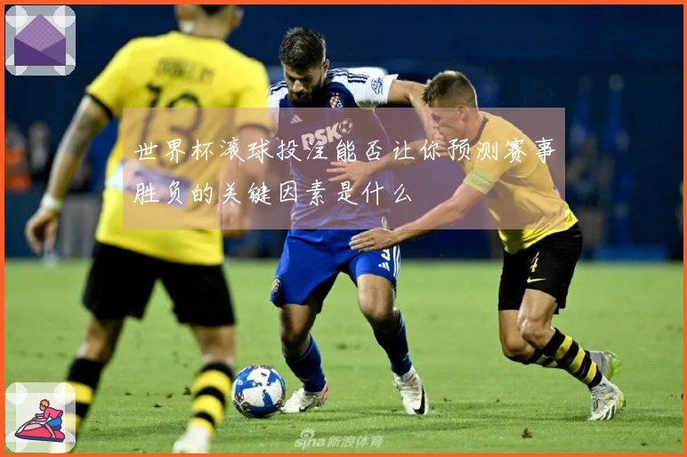 世界杯滚球投注能否让你预测赛事胜负的关键因素是什么