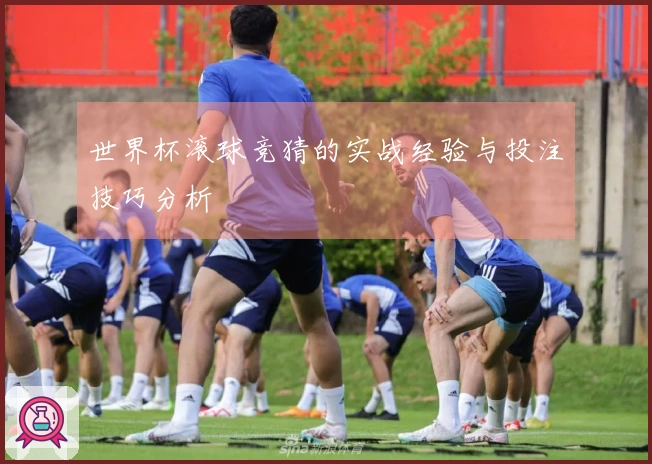 世界杯滚球竞猜的实战经验与投注技巧分析